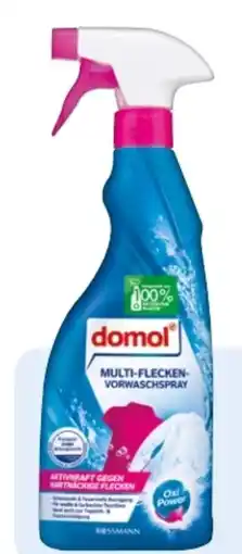 Rossmann Domol Multi-Flecken-Vorwaschspray Angebot
