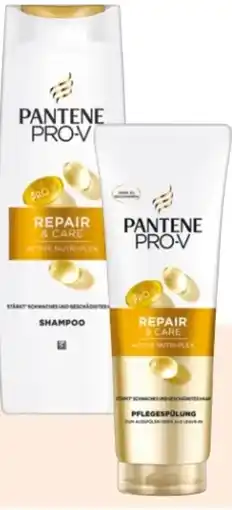 Rossmann Pantene Pro-V Shampoo Angebot