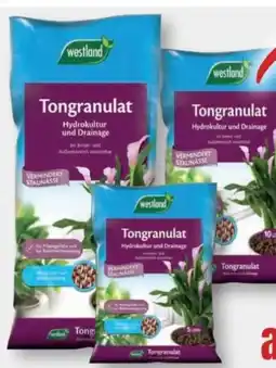 B1 Discount Baumarkt Westland Tongranulat Angebot
