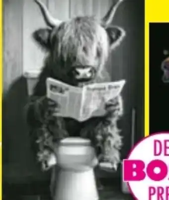 Möbel Boss Wandbilder Angebot