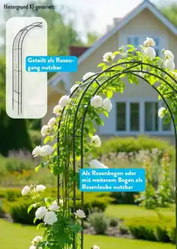 Aldi Süd Belavi Rosenbogen Angebot