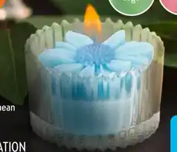 Aldi Süd Home Creation Duftblumenkerze Angebot