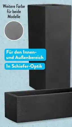 Aldi Süd Belavi Pflanzsäule Angebot