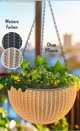 Aldi Süd Belavi Hängetöpfe Angebot