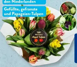Aldi Süd MaX-ima’s Royal-Tulpen Angebot