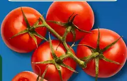 Aldi Süd Rispentomaten Angebot