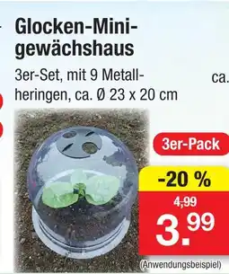 Zimmermann Glocken-mini-gewächshaus Angebot