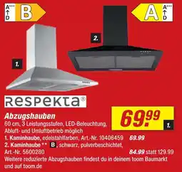 toom Baumarkt Respekta kaminhaube Angebot