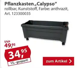 Sonderpreis Baumarkt Pflanzkasten ,,Calypso" Angebot