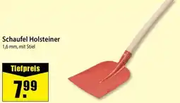 bauSpezi Schaufel Holsteiner Angebot
