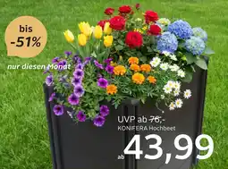 OTTO KONIFERA Hochbeet Angebot