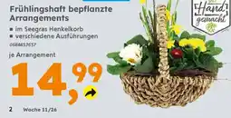 Globus Baumarkt Frühlingshaft bepflanzte Arrangements Angebot