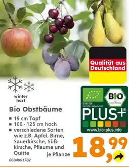 Globus Baumarkt Bio Obstbäume Angebot
