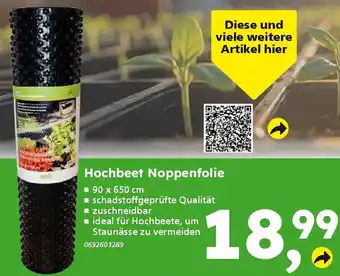 Globus Baumarkt Hochbeet Noppenfolie Angebot