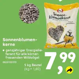 Globus Baumarkt elles Sonnenblumenkerne Angebot