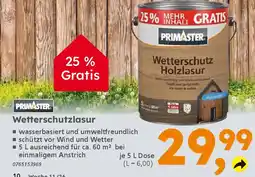 Globus Baumarkt PRIMASTER Wetterschutzlasur Angebot