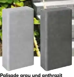 BayWa Palisade Crescendo Angebot