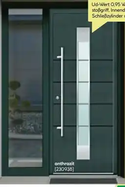 BayWa Aluminium-Sicherheitshaustür Turin Exklusive Angebot