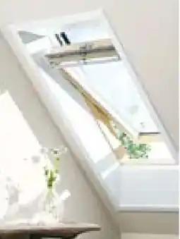 BayWa Bau & Garten Velux Holz-Schwingfenster Angebot