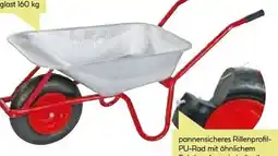 BayWa Garten-Bauschubkarre Angebot