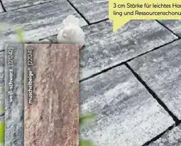 BayWa Terrassenplatte No.1 Sahara Angebot