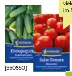 BayWa Kiepenkerl Saatgut Angebot