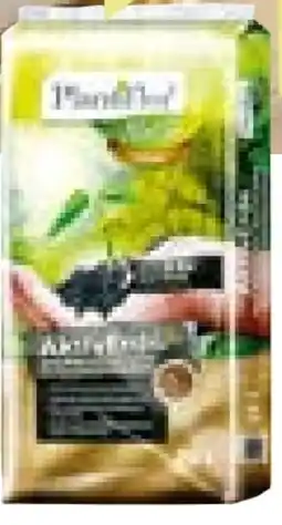 BayWa Plantiflor AktivErde Angebot