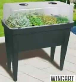 BayWa Wingart Hochbeet Kräuterpott Angebot