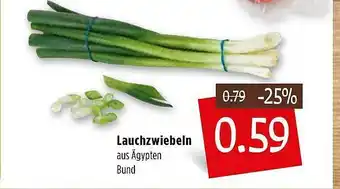 Kupsch Lauchzwiebeln Angebot