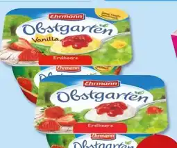 PENNY Ehrmann Obstgarten Angebot