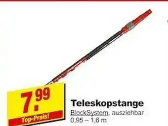 Leymann Baustoffe Teleskopstange Angebot