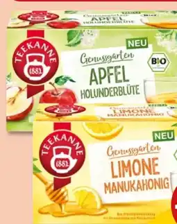 PENNY Teekanne Bio-Genussgarten Angebot