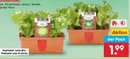 Netto Marken-Discount Salatpflanzen Angebot