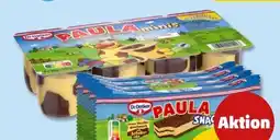 PENNY Dr. Oetker Paula Pudding Angebot