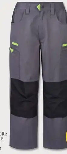 PENNY Purework Herren Arbeitsbundhose Angebot