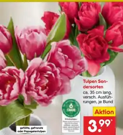 Netto Marken-Discount Schnitt-Tulpen Sondersorten Angebot