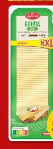 PENNY Lindenhof Gouda XXL Angebot