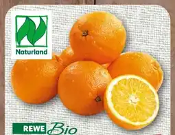nahkauf Rewe Bio Orangen Angebot