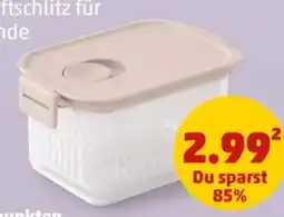 PENNY Brabantia Kühlschrank Frischhalteboxen Angebot