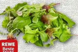 nahkauf Rewe Beste Wahl Wildkräuter Salat Angebot