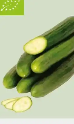 Edeka Xpress Bio-Gurke Angebot