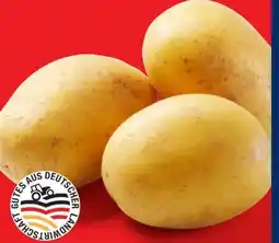 Lidl Speisekartoffeln Angebot