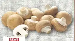 nahkauf Rewe Regional Champignons Angebot