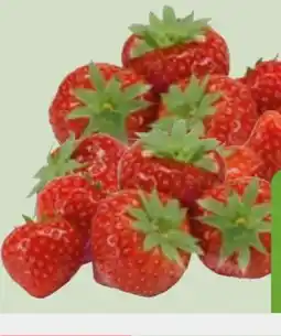 Edeka Xpress Erdbeeren Angebot
