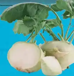 E-Center Kohlrabi Angebot