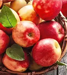 nahkauf Rewe Regional Tafeläpfel Angebot