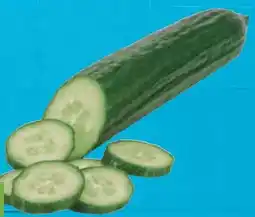 E-Center Bio-Gurke Angebot