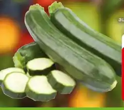 Edeka Zucchini Angebot