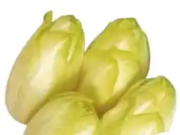 Edeka Chicoree Angebot