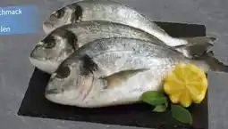 Edeka Dorade Royale Angebot